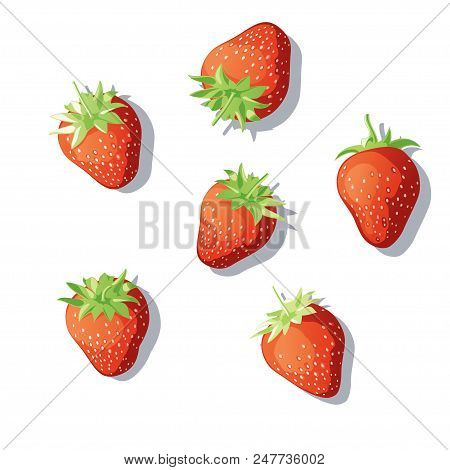 The Berry Lying On A White Background