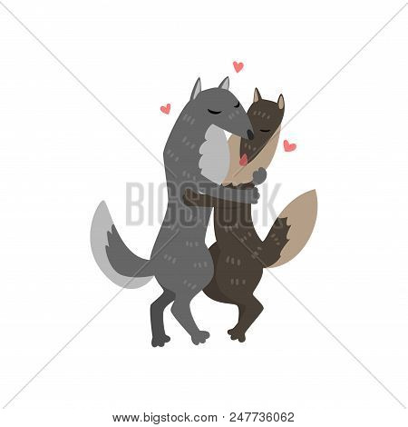 Couple Of Wolves Cute In Love Embracing Each Other, Two Happy  Aniimals Hugging With Hearts Over The