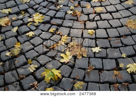 Feuilles d'automne sur ancienne Causey