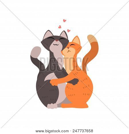 Couple Of Cats Cute In Love Embracing Each Other, Two Happy  Aniimals Hugging With Hearts Over Their
