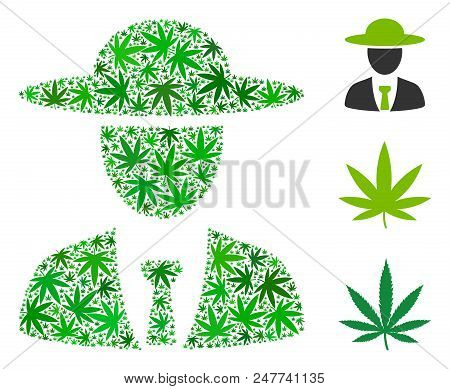 Agronomist Chief Mosaic Of Hemp Leaves In Various Sizes And Green Variations. Vector Flat Hemp Symbo