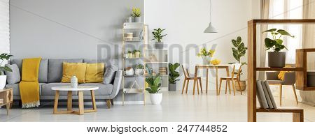 Real Photo Of A Spacious Living Room Interior With A Sofa Behind A Table And Next To A Shelf, Table