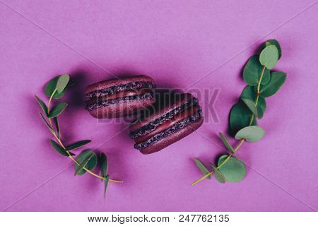 Two Purple Macarons On Violet Background With Two Branches Of Silver Eucalyptus. Flat Lay Style.