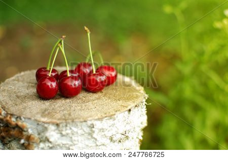 Red Ripe Cherry On A Background Of Trees And The Sun