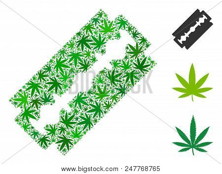 Shaving Razor Blade Collage Of Hemp Leaves In Variable Sizes And Green Hues. Vector Flat Hemp Icons 