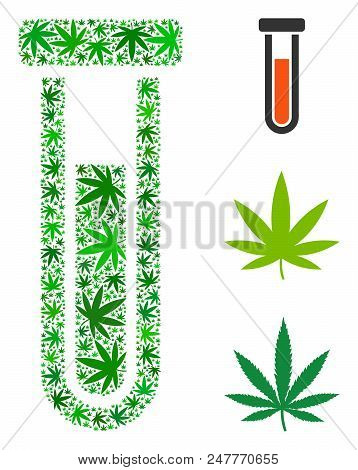 Test-tube Composition Of Hemp Leaves In Various Sizes And Green Shades. Vector Flat Cannabis Leaves 