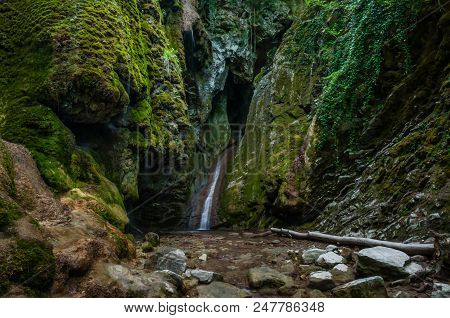 Water Flow Into Creek And Waterfall In Mountain Gorge, Between Rocks And Stones Covered With Green M