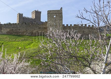 Genoese Fortress In Sudak, Crimea. View Of The Fortress Walls And Towers From The Flowering Orchard.