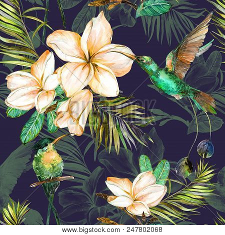 Beautiful Colorful Colibri And Plumeria Flowers On Dark Background. Exotic Tropical Seamless Pattern