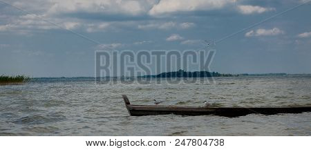Two Seagulls At A Lake - On The Water, Sitting In A Boat, And Standing On The Boat.