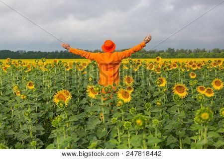 Man in orange clother in sunner sunflowers field