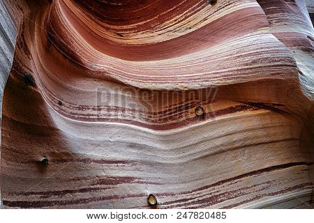 Detail of a Zebra Canyon, vivid striped and very narrow gorge. The awsome zig-zag shapes were created by water. Grand Staircase-Escalante National Monument, Utah. USA