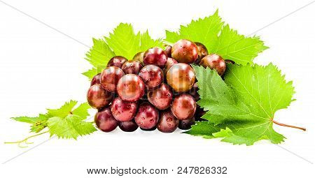 Summer Fruit Concept. Set Of Purple Grapes Falling Isolated On White Background With Clipping Path. 