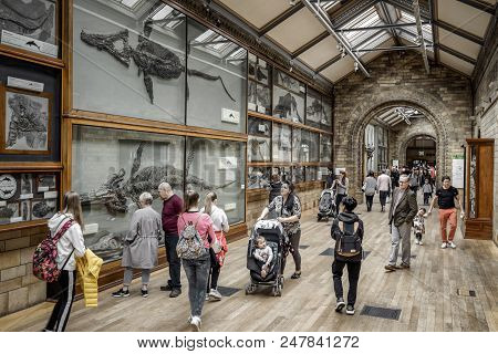 London, United Kingdom - May 13: Skeletons Of Ichthyosaur And Visitors In Natural History Museum On 