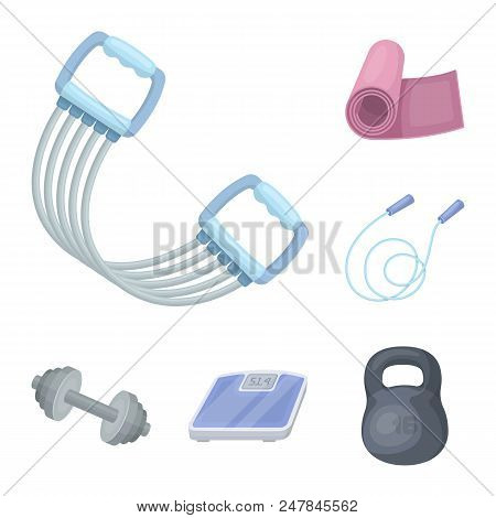 Gym And Training Cartoon Icons In Set Collection For Design. Gym And Equipment Vector Symbol Stock  