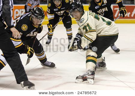 Ligue de Hockey de l'Ontario - London Vs Sarnia