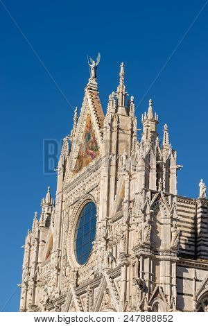 Detail Of The Facade Of The Siena Cathedral, Santa Maria Assunta, 1220-1370. Toscana (tuscany), Ital
