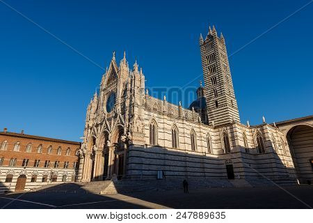Siena Cathedral (santa Maria Assunta) 1220-1370 With Clear Blue Sky. Toscana (tuscany), Italy, Europ