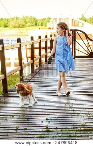 Elegant Child Near Puppy Breed Cocker Spaniel,charles King.beautiful Young Girl Stands Bridge Pier. 