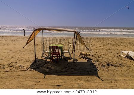 La Boquilla Cartagena, Colombia. March 2018. A View Of A Basic Sun Shade And Walking Dog On La Boqui