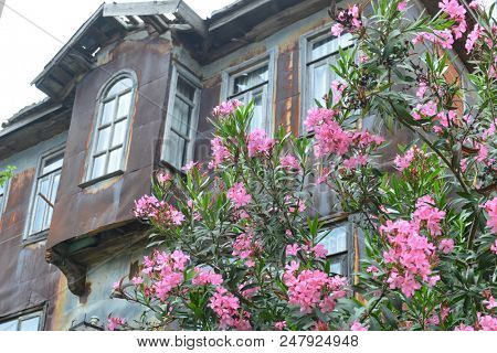 An old Ottoman style renovated house of Historical Amasra - Amasra town, Bartin - Turkey