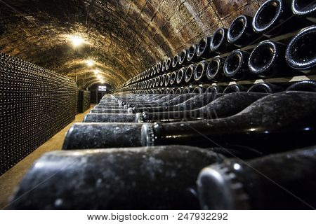 Stock Photo Of Winery Production In Italy