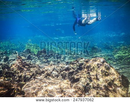 Practicing Diving And Snorkeling, Mysterious Lagoon, Beautiful L