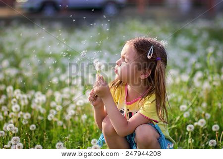 The Child Blows Off Fuzzes From A Dandelion On A Clearing