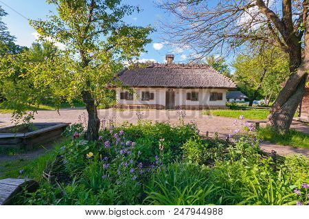A Flower Bed With Small Beautiful Flowers And Green Leaves Against The Background Of An Old Authenic