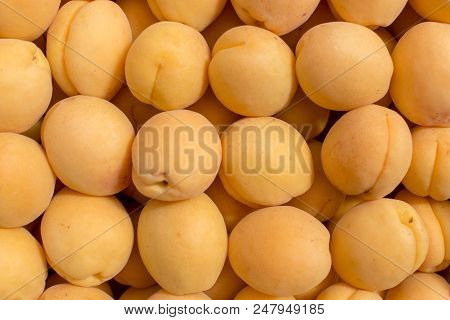 Fresh Fruit Abstract Colorful Pattern Texture Background