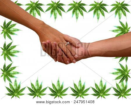 Engagement couple with Marijuana background. A couple hold hands with an engagement ring and marijuana leaf background. isolated on white. room for text. 