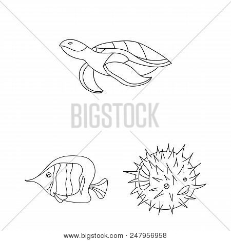 A Variety Of Marine Animals Outline Icons In Set Collection For Design. Fish And Shellfish Vector Sy