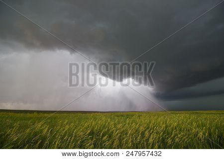 Supercell Thunderstorm Passes Over A Wheat Field, Releasing An Intense Downdraft Full Of Rain And Ha