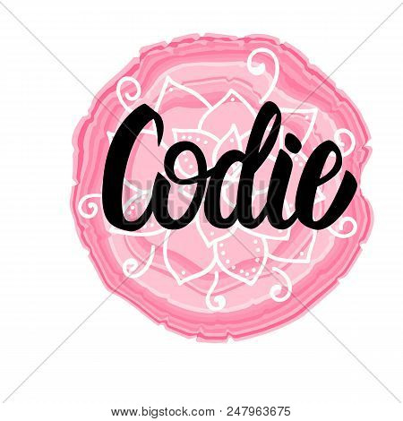 Vector Illustration With Lettering Name Codie Isolated On White Background.