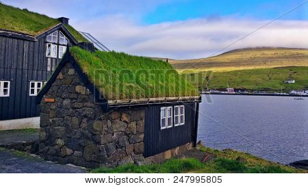 typical faroese houses with green roofs in the early summer on the Faroe Islands