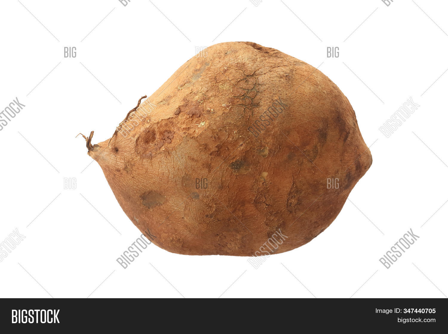 Yacon Fruit Herb Image & Photo (Free Trial) Bigstock