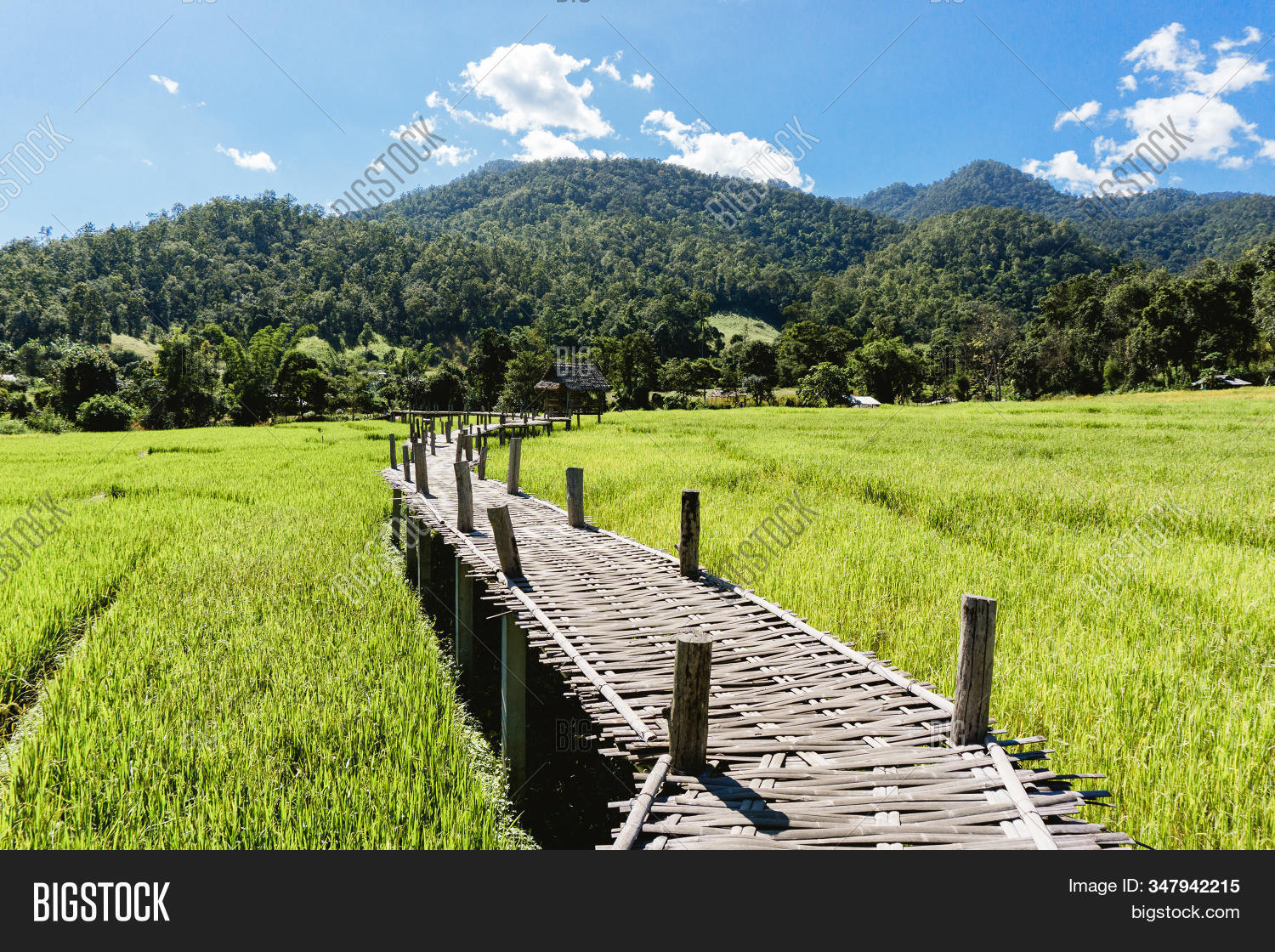Bamboo Bridge Pai Image & Photo (Free Trial) Bigstock