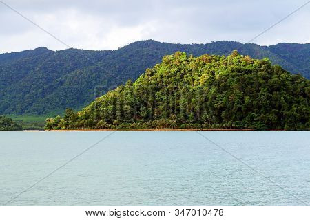Green Peace At The Sea
