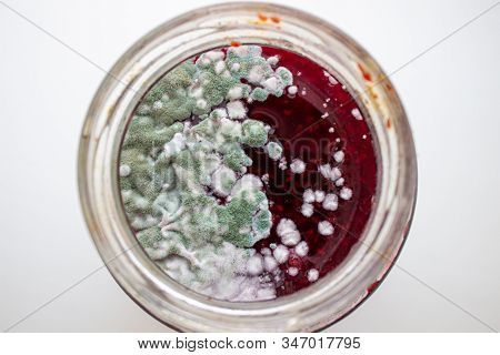 Mold In A Jar Of Jam. Hazardous To Health. Mold.
