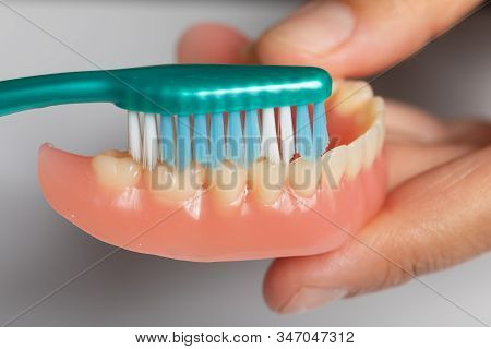Dentist Cleaning Dental Prothesis With Toothbrush