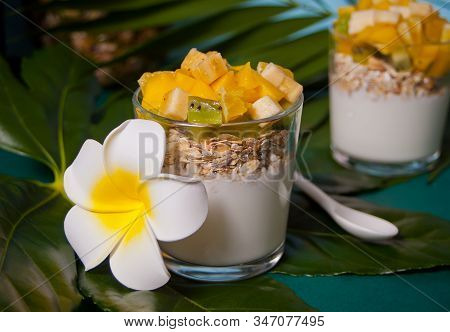 Exotic Tropical Fruit Salad With Muesli And Yogurt In A Glasses On The Palm Leaf.