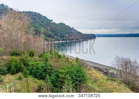 A View Of The Shoreline On Vashon Island In Washington State.