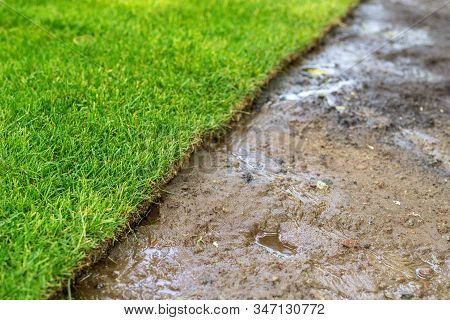 Straigh Line Of New Freshly Installed Green Rolled Lawn Grass . Dirt Watered Soil Prepared For Insta