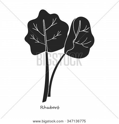 Rhubarb Vector Icon.black, Simple Vector Icon Isolated On White Background Rhubarb.