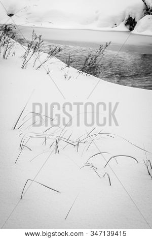 Vertical Black-and-white Fine Art Print Of Grass And Shrubs In Snow With River Frozen Over Backgroun