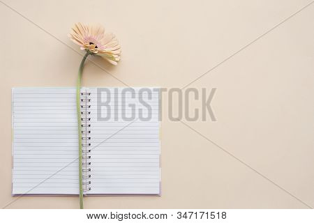 Open Blank Notepad With Fresh Gerbera Daisy Flower On Light Peach Background, Top View With Copy Spa