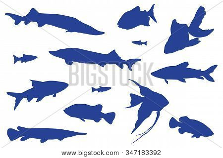 Blue Fishes Swimming Vector Isolated Illustration. Ocean Or Sea Creatures. Fishes Isolated On White.