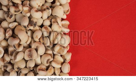 Job's Tears, Also Known As Adlay And Coix On Red Background. Popular In Asian Cultures As A Food Sou