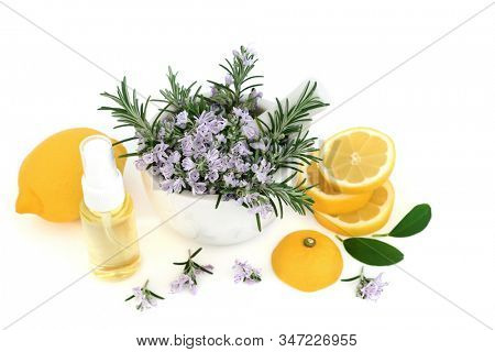 Rosemary herb & lemon vegan skin care beauty treatment with moisturising oil on white background. Anti ageing benefits & helps to reduce environmental skin damage. 