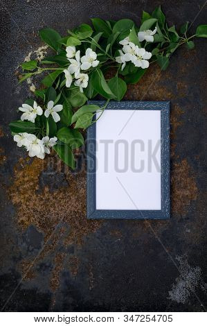Creative Top View Apple Tree Blooming Flowers Brunch Frame On Millennial Pink Background With Copy S
